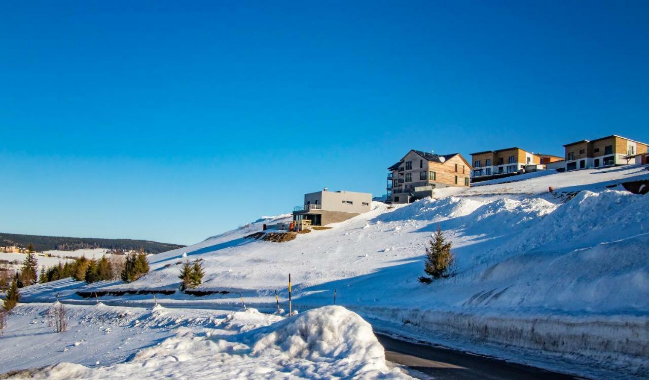 Wellness Villa Klinovec Views Loučná pod Klínovcem Exteriér fotografie